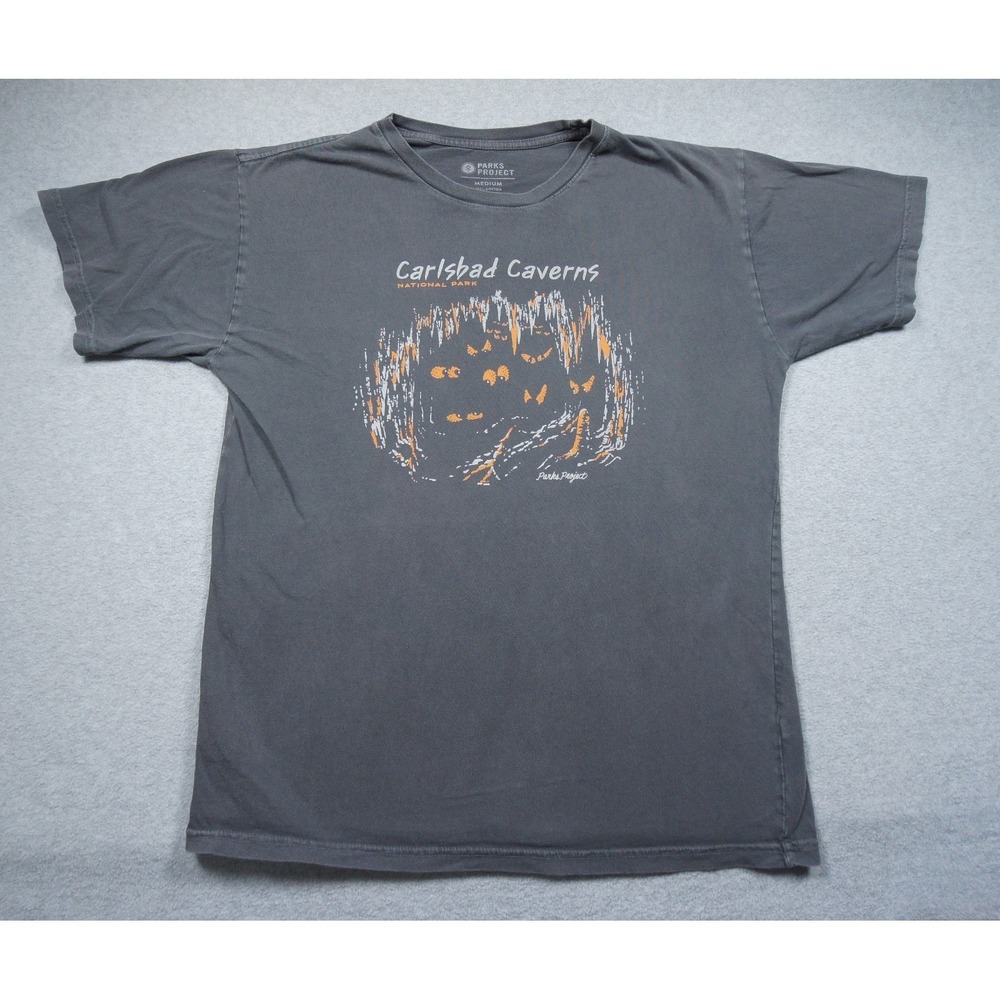 Parks Project Shirt Mens Medium Gray Carlsbad Caverns National Park Graphic Tee